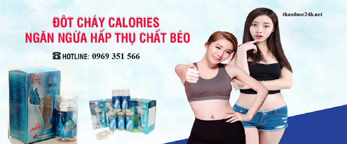 bannergiamcan22