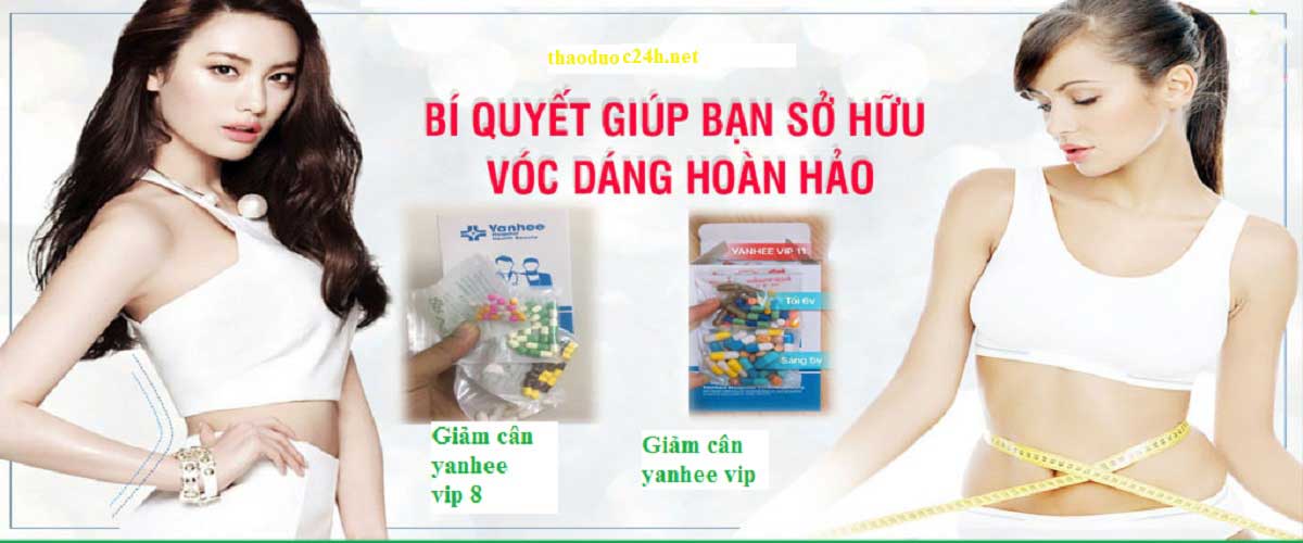 bannergiamcan33