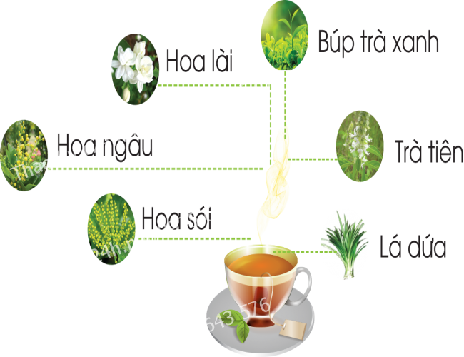 thanhphan