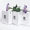 thuc-pham-lam-dep-20-day-skin - ảnh nhỏ 2